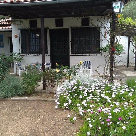 Persefoni House Villa Афисос Екстериор снимка