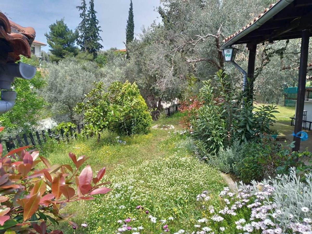 Persefoni House Villa Афисос Екстериор снимка