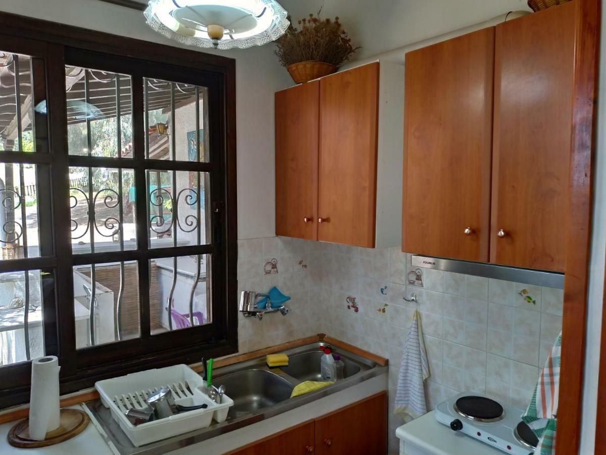 Persefoni House Villa Афисос Екстериор снимка